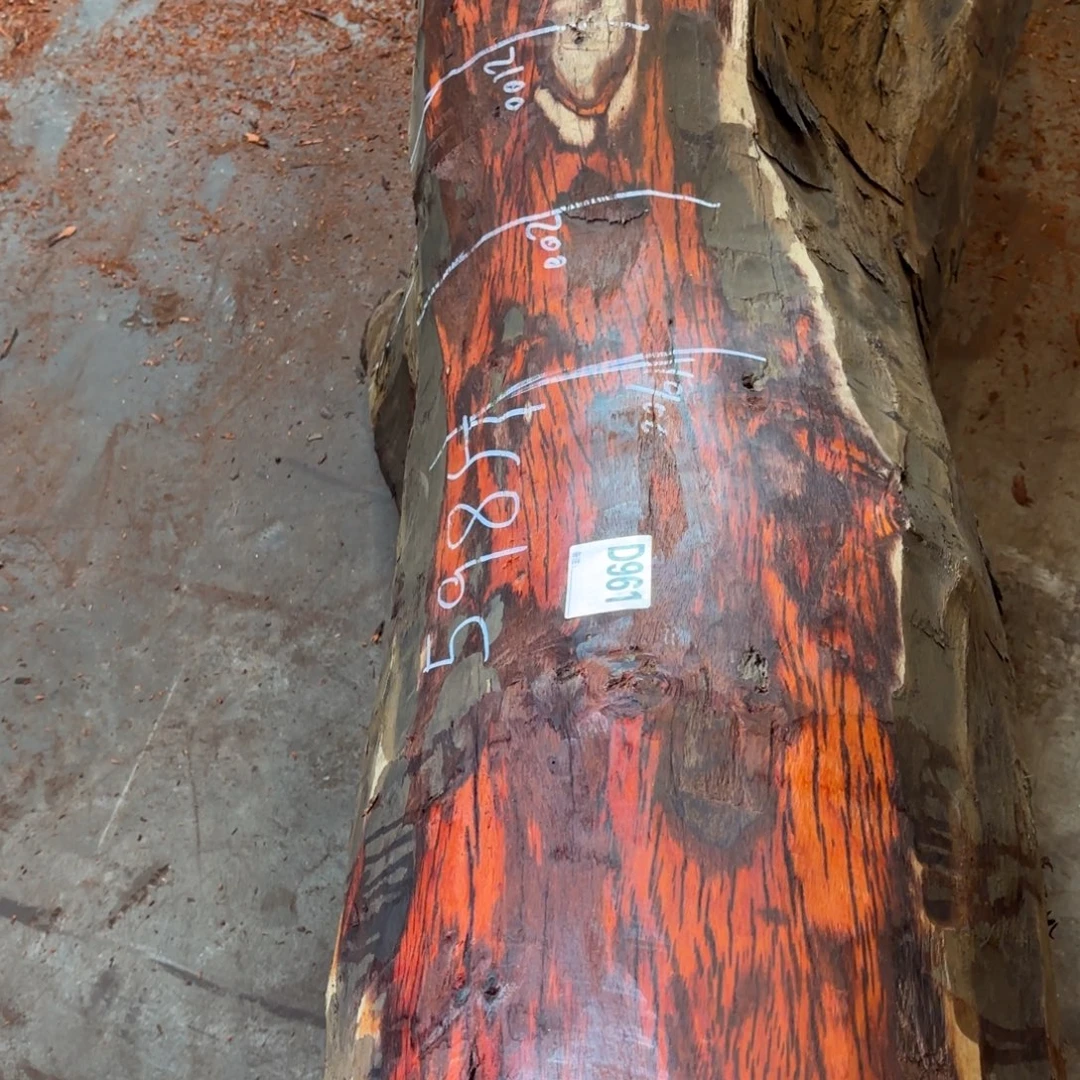 临***秋一物一拍血檀编码961