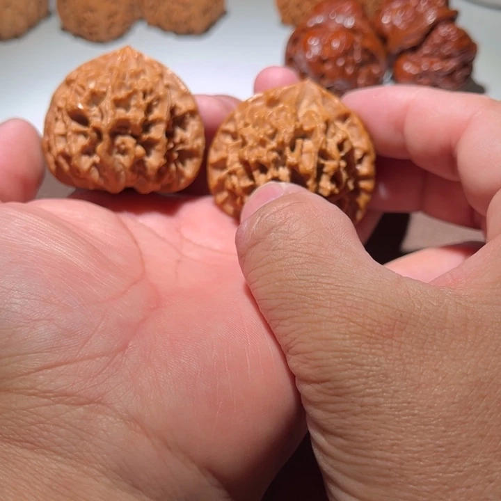 口***鸡精品小秦闷47尺寸