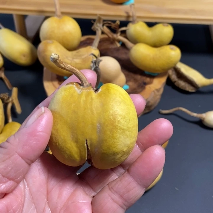 心***安zbnjxnzznnxz