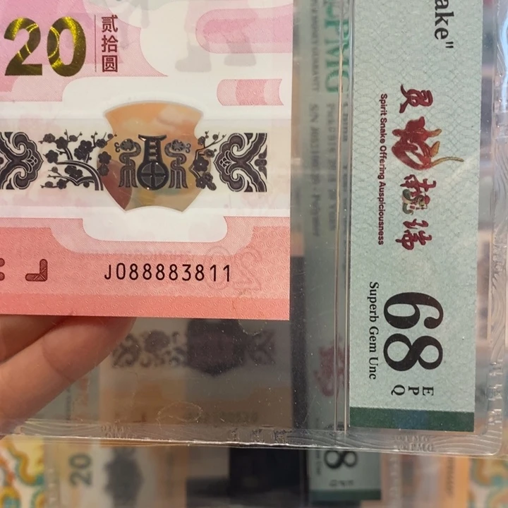 蛇钞倒影号狮子身