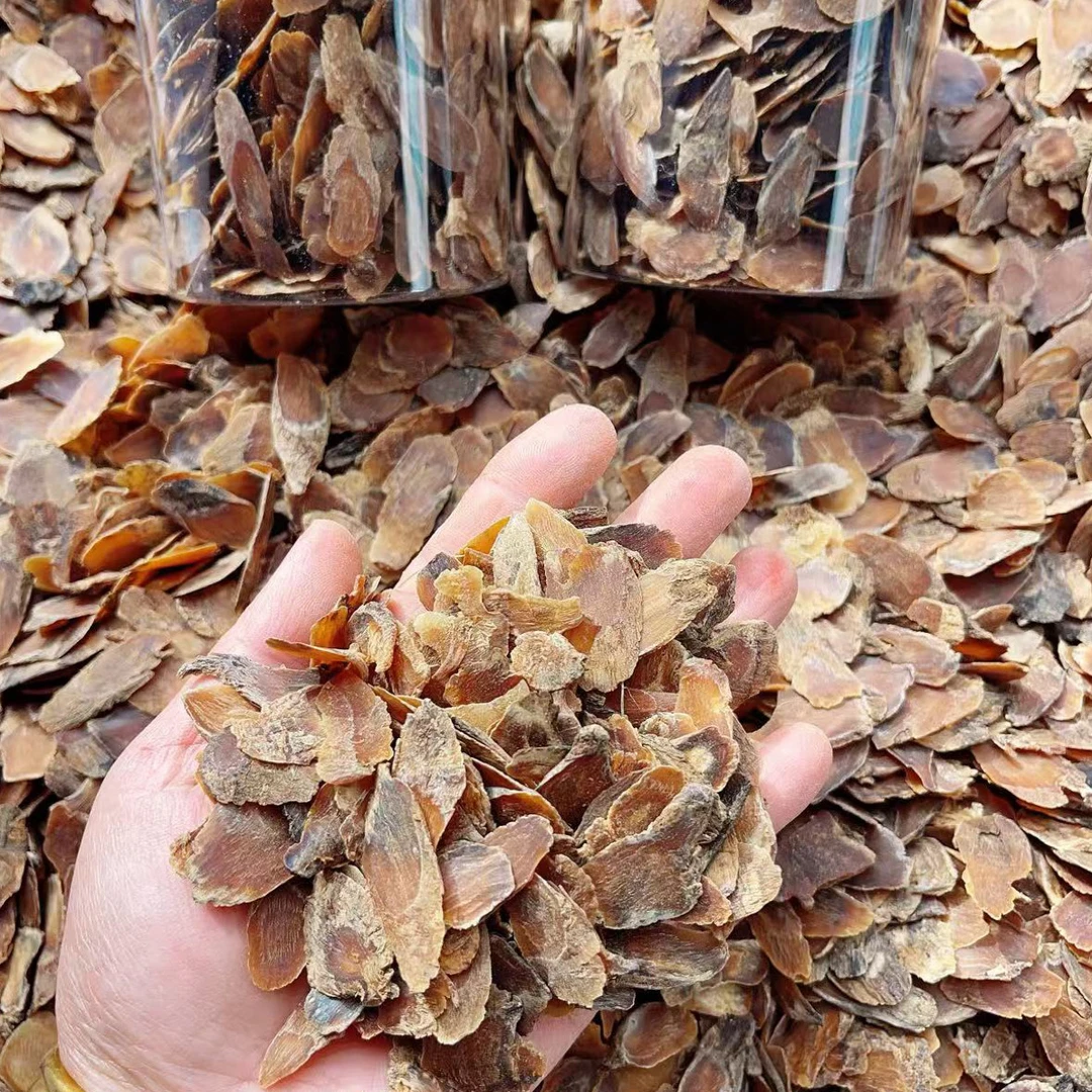 六年高丽参头尾片滋养身心，天然滋补