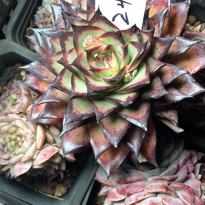 24//////////////////