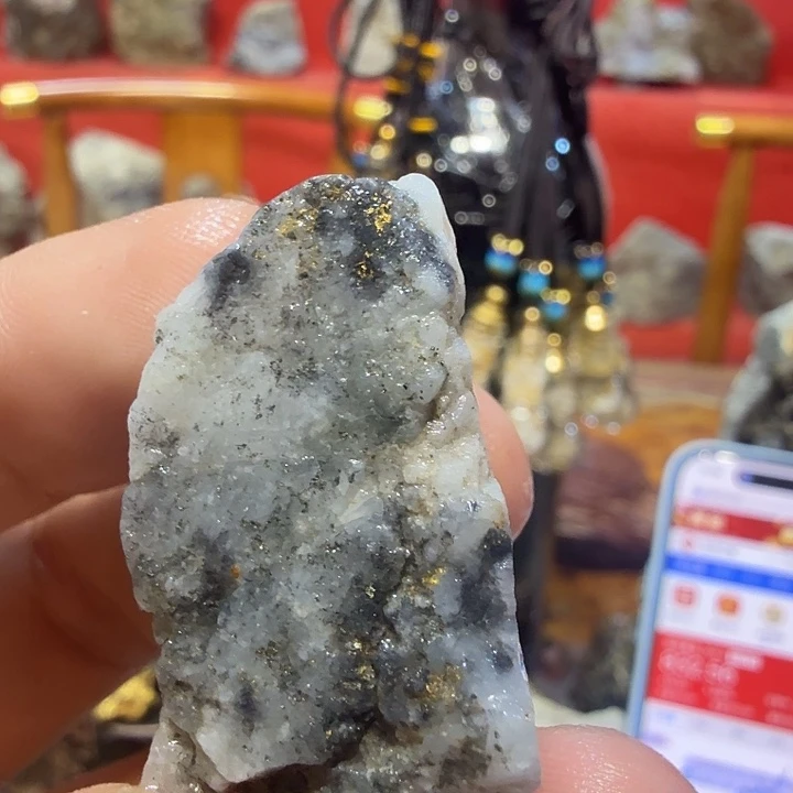 聚金阁的自然金标本