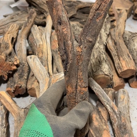 大果紫檀（缅甸花梨）河*洛