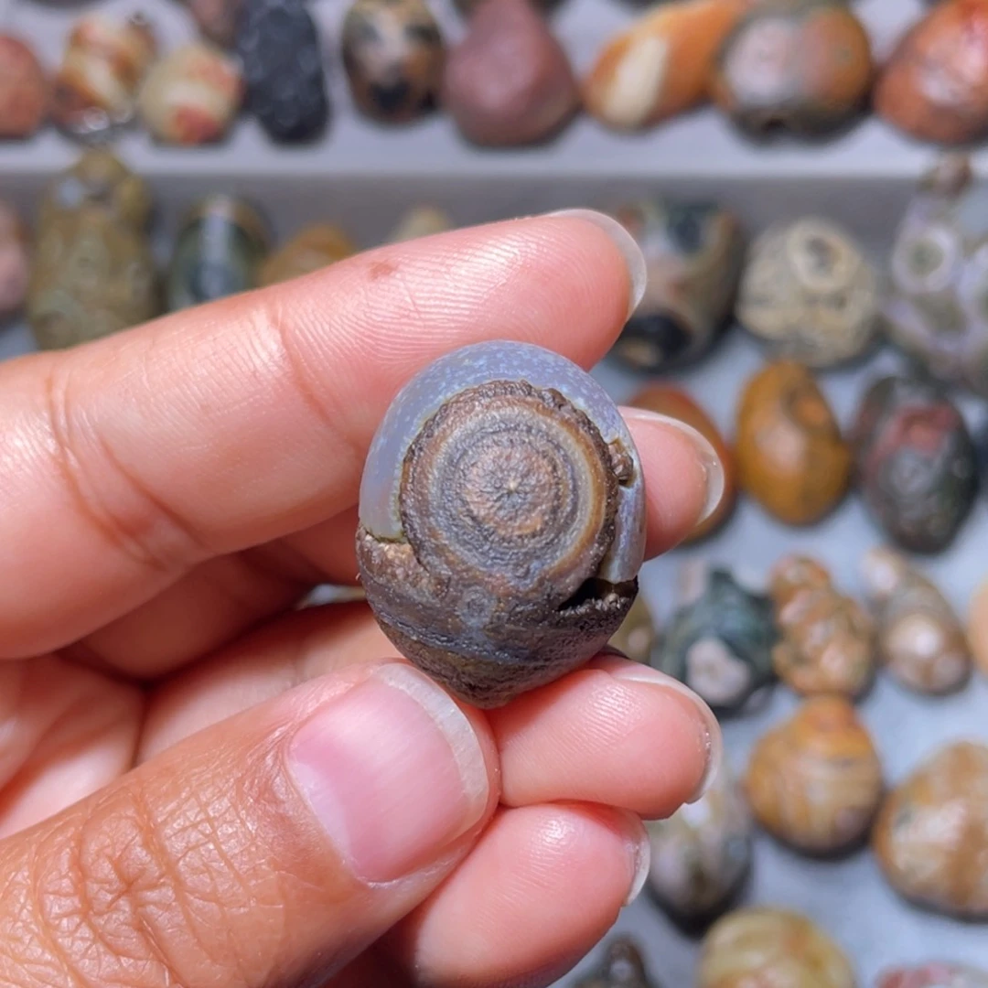 戈壁石戈壁石眼睛石