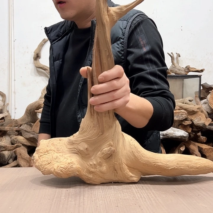 柏木快**活我们的生活也会越来越美好
