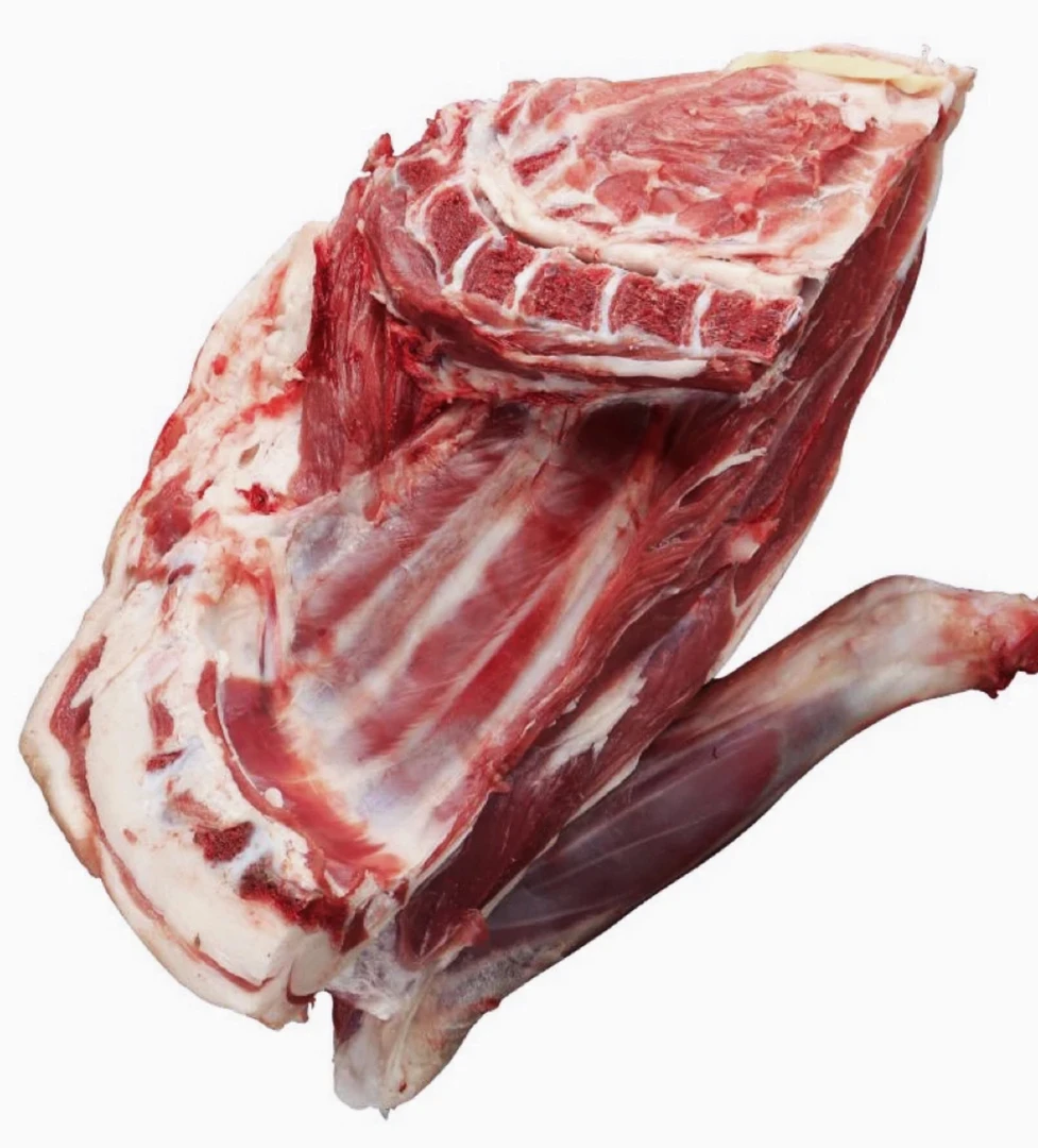 新疆喀什羊 羊前腿带排 新鲜香嫩没有膻味