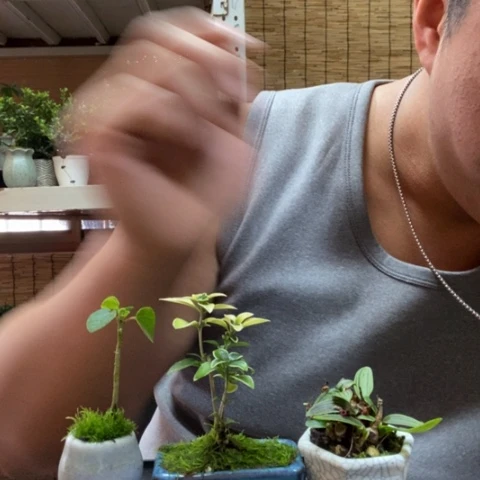 红陶一物一拍所见即所得68