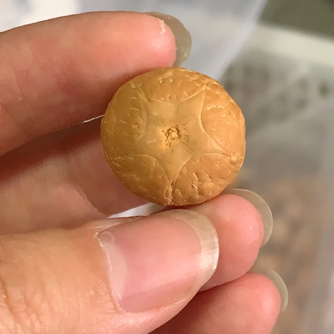 吊坠凤眼菩提五星上将20.5mm