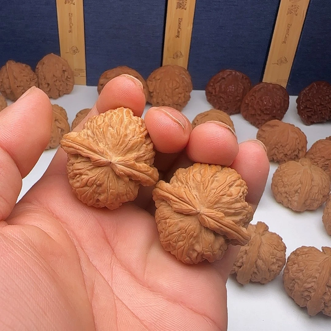 核桃003白狮子白狮子