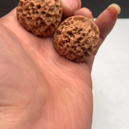 我的小可爱们都是很
