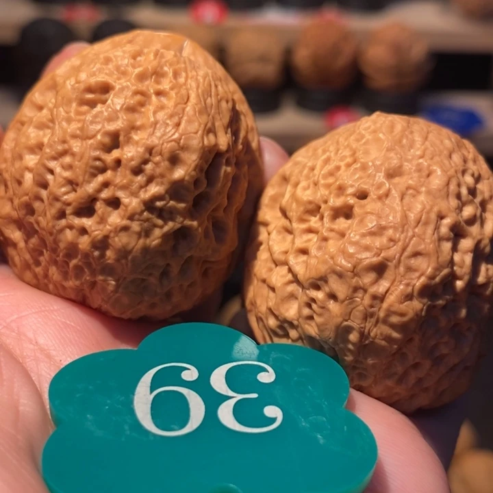 木质类龙鳞铁狮子41尺寸