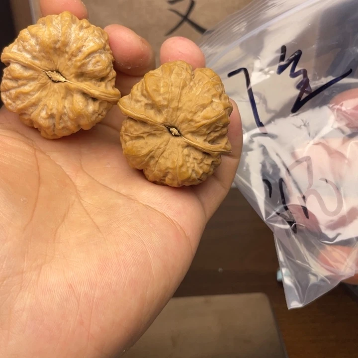 文玩核桃把件43全品蛤蟆头