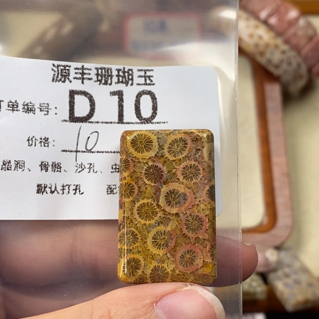 木***3硅化玉未镶嵌颈饰