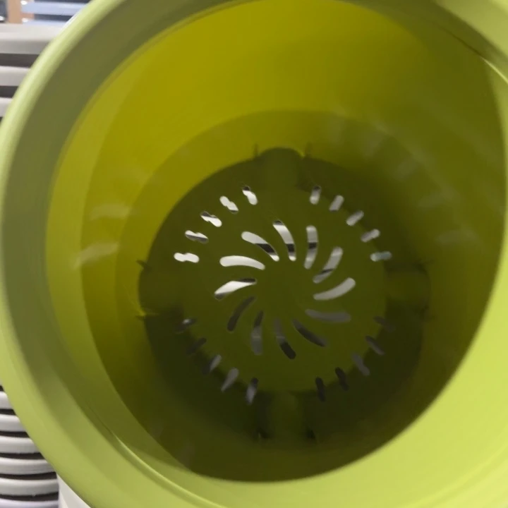 微瑕6号无托果绿7个