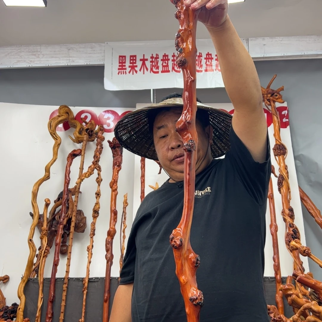 用***9黑果木其他黑果木229