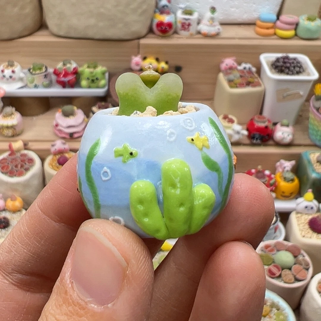 多肉植物140号拇指盆