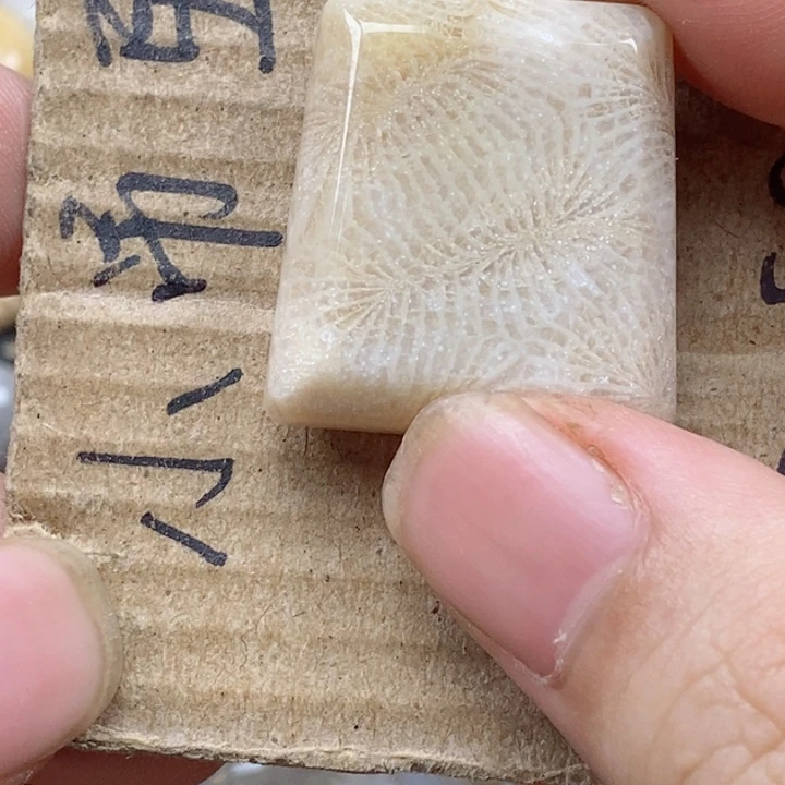 颈饰未镶嵌硅化珊瑚(珊瑚玉)森**烛