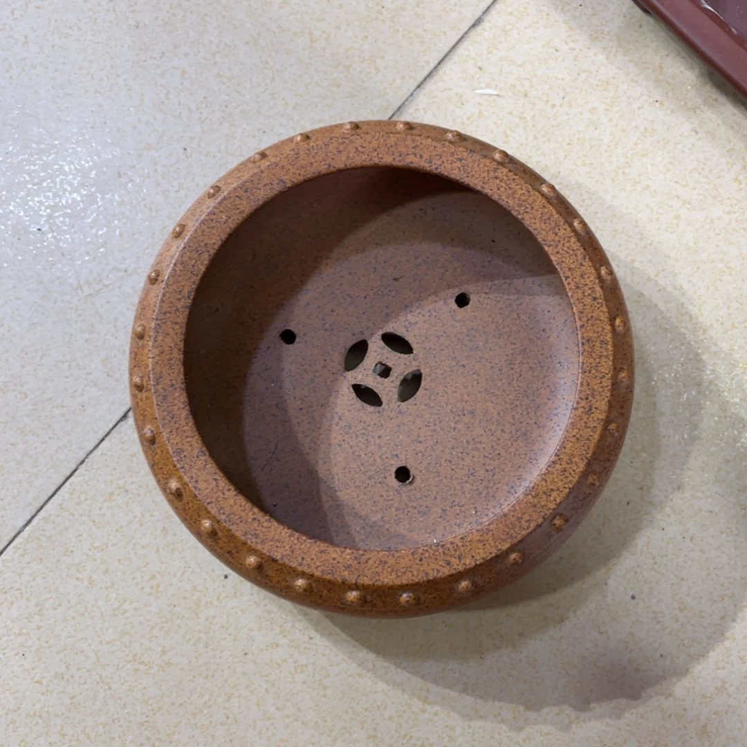 紫砂我们我们在这里