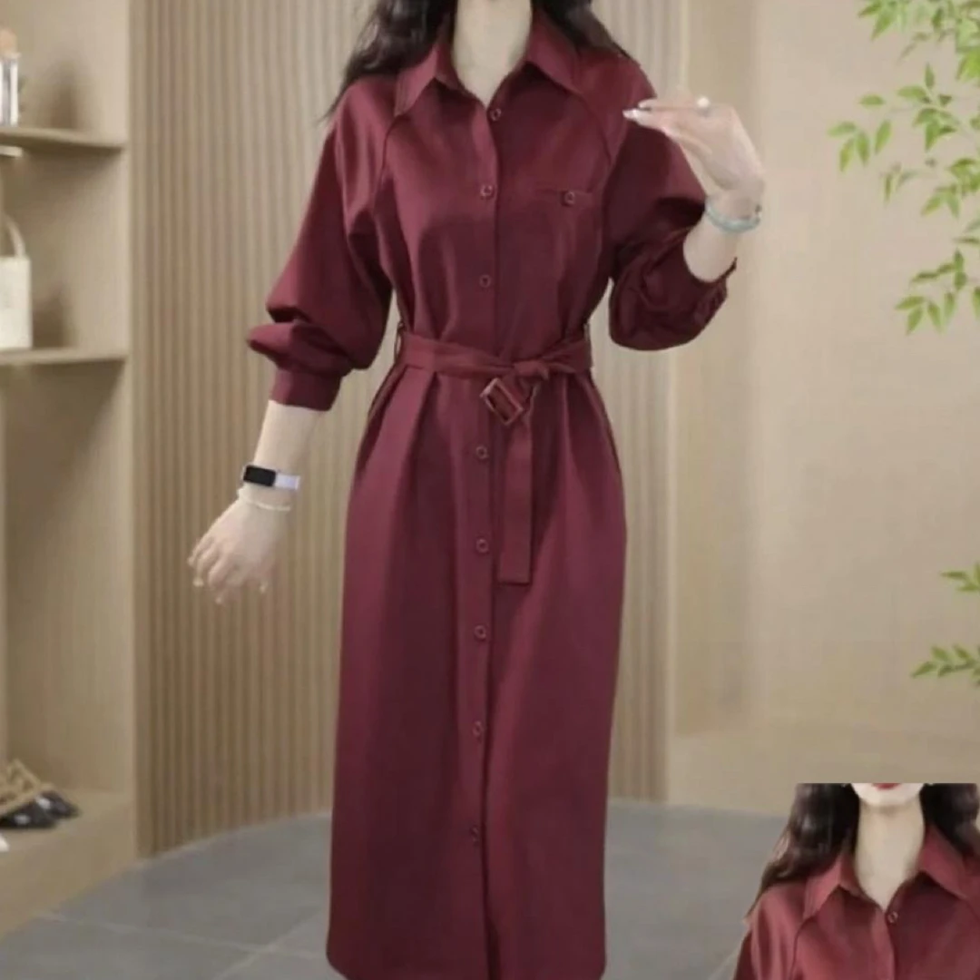 新款春秋高级感气质收腰显瘦A字长袖连衣裙