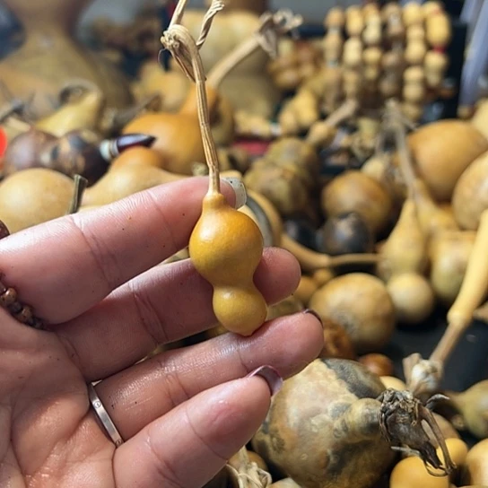 永****葫芦葫芦葫芦葫芦