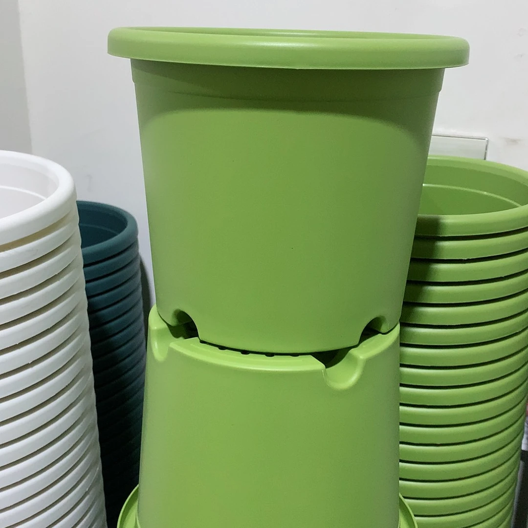 树脂四季口21果绿6个无托