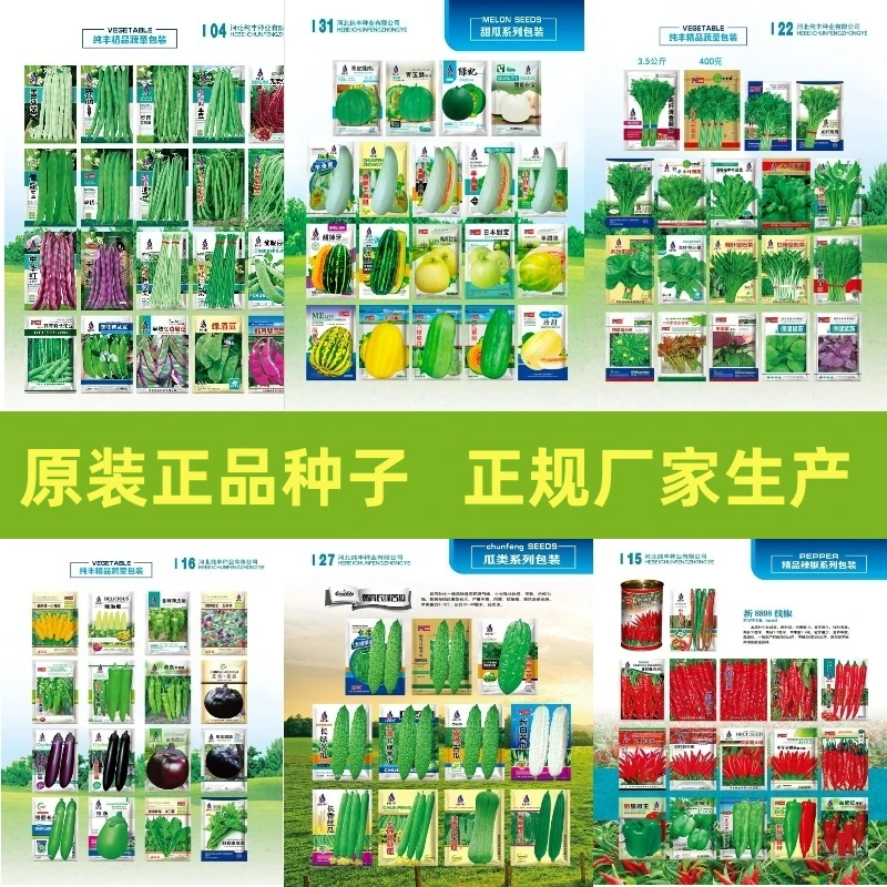 四季播种蔬菜种子菜籽青菜香菜白菜小葱种子