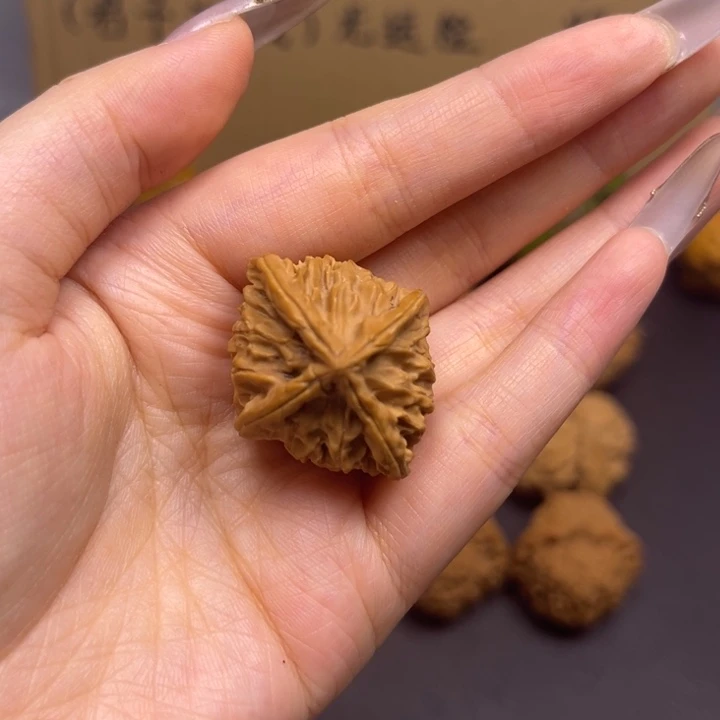 飞***觉菩提籽类四棱单只异型
