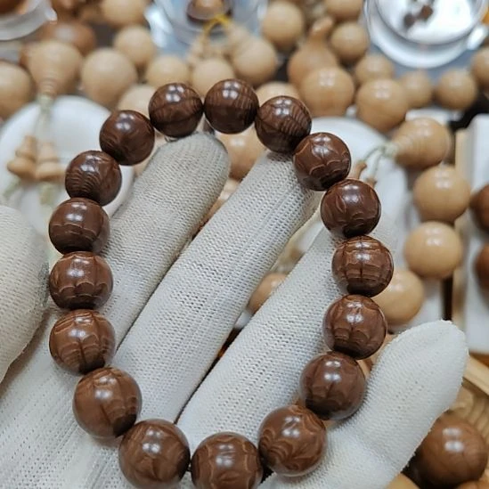 六道木其他九道木1.2