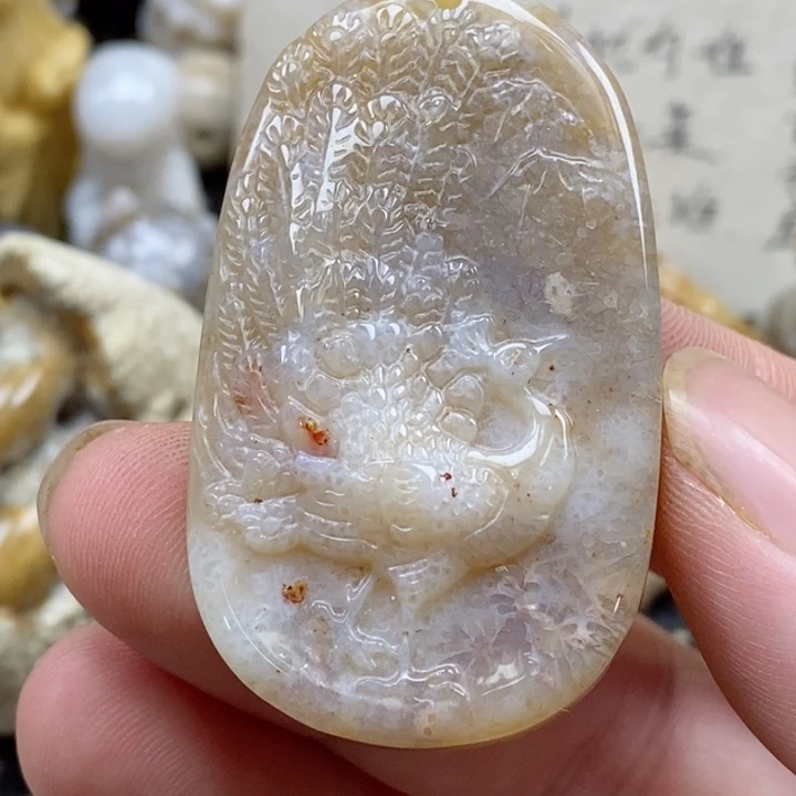 颈饰未镶嵌硅化珊瑚（珊瑚玉）小