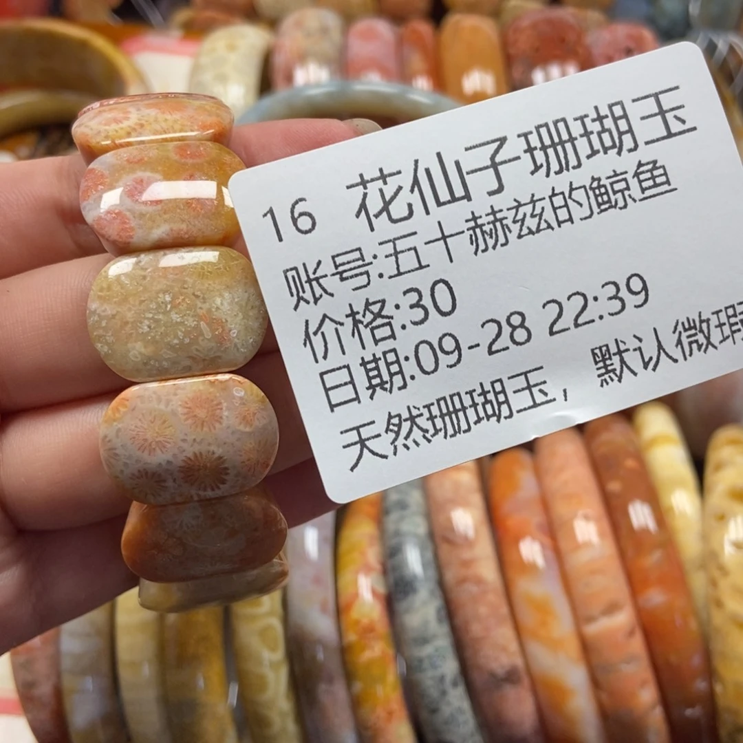 五***鱼硅化珊瑚（珊瑚玉）未镶嵌珠宝半成品16