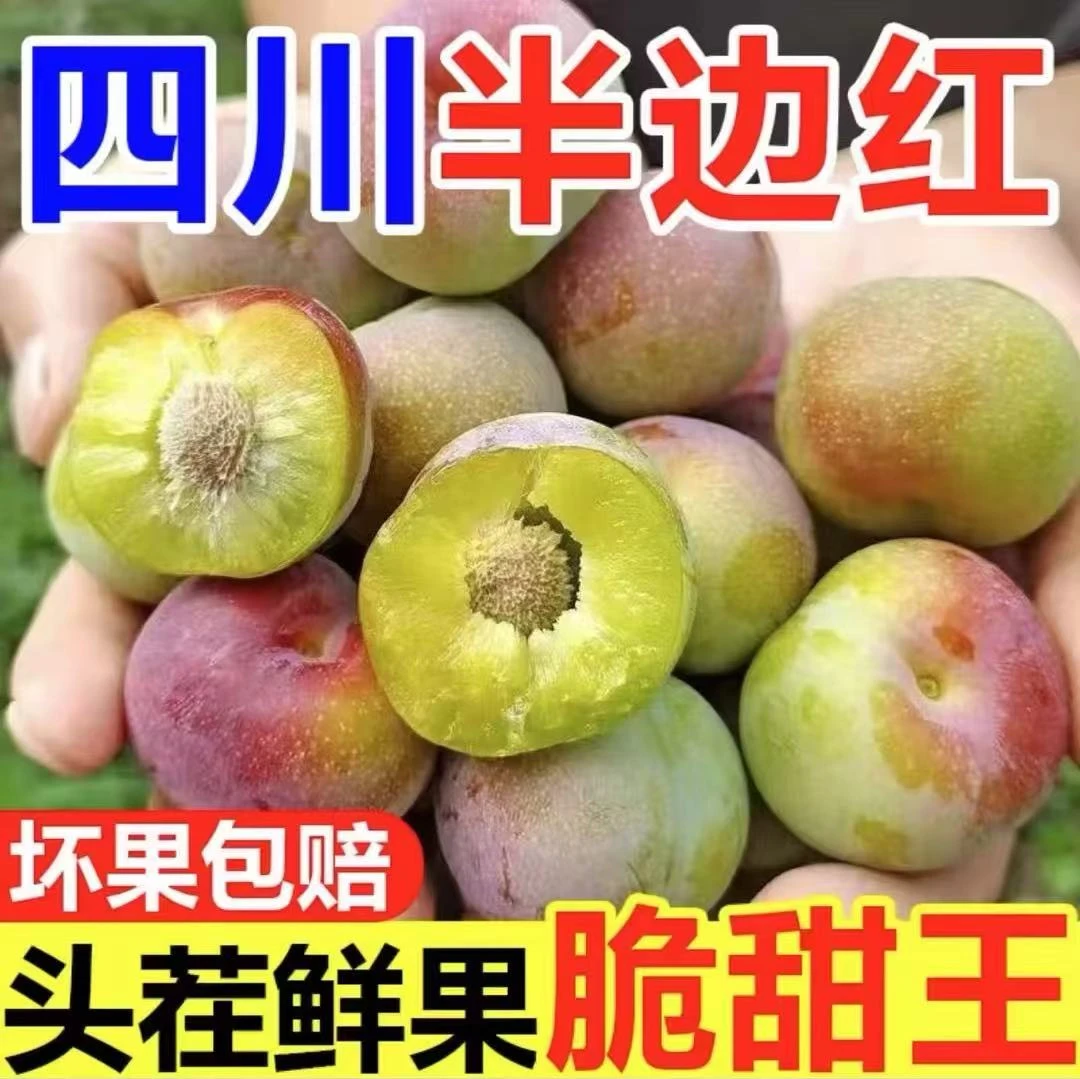 正宗四川半边红李子新鲜采摘脱骨脆甜茵红李多汁应季水果整箱包邮