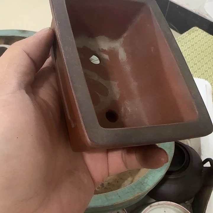 冀***风香榧木fyghghhhhhhhg