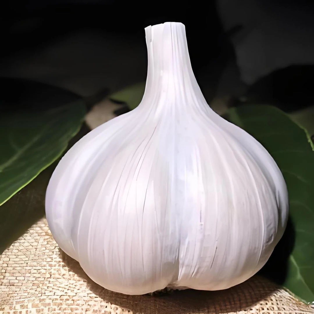 农家自种四六瓣山东苍山大蒜头当季蒜香浓郁白皮干蒜皮薄瓣大