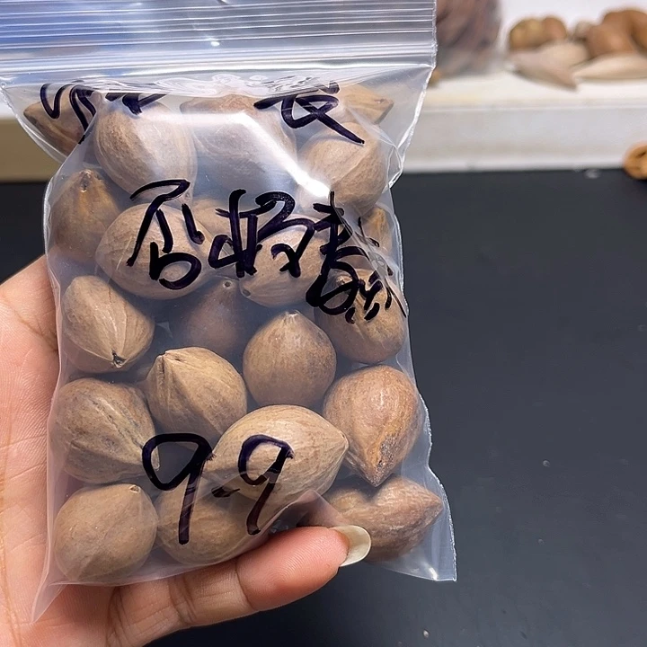 否***来手串/手链橄榄核111