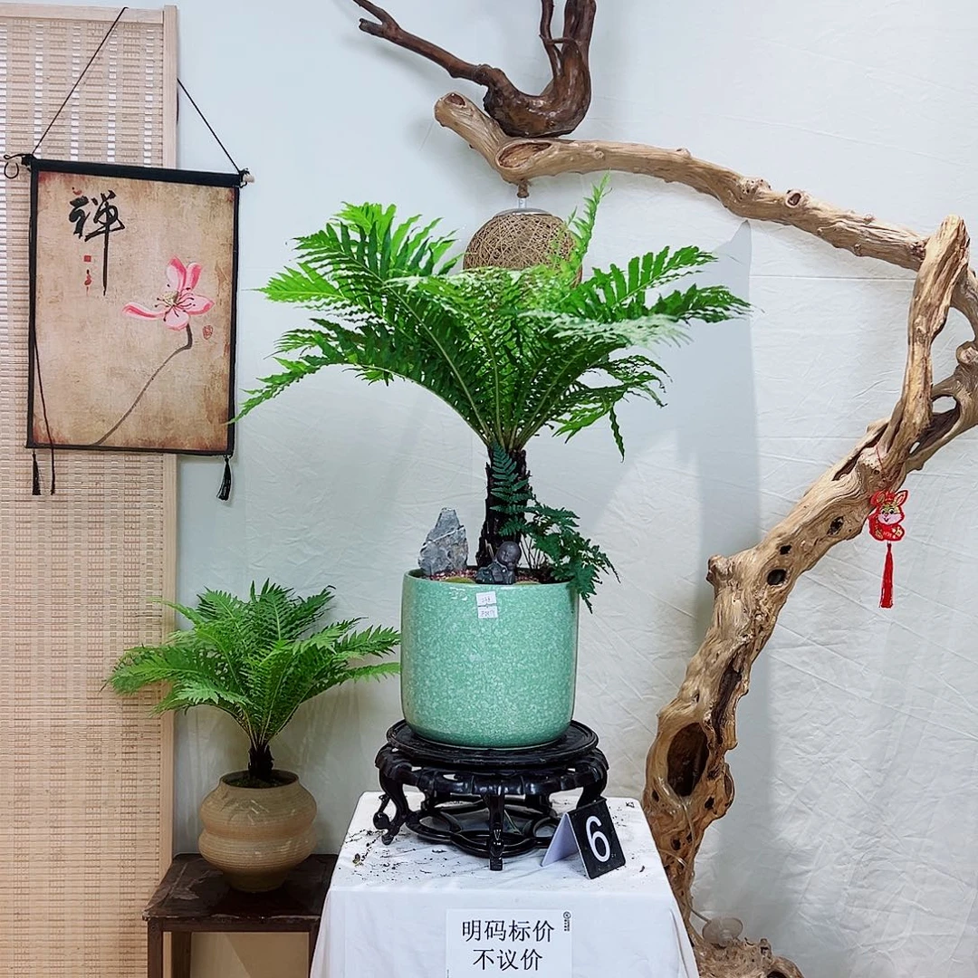 用***7无花朵鱼鱼鱼鱼鱼鱼鱼鱼鱼鱼