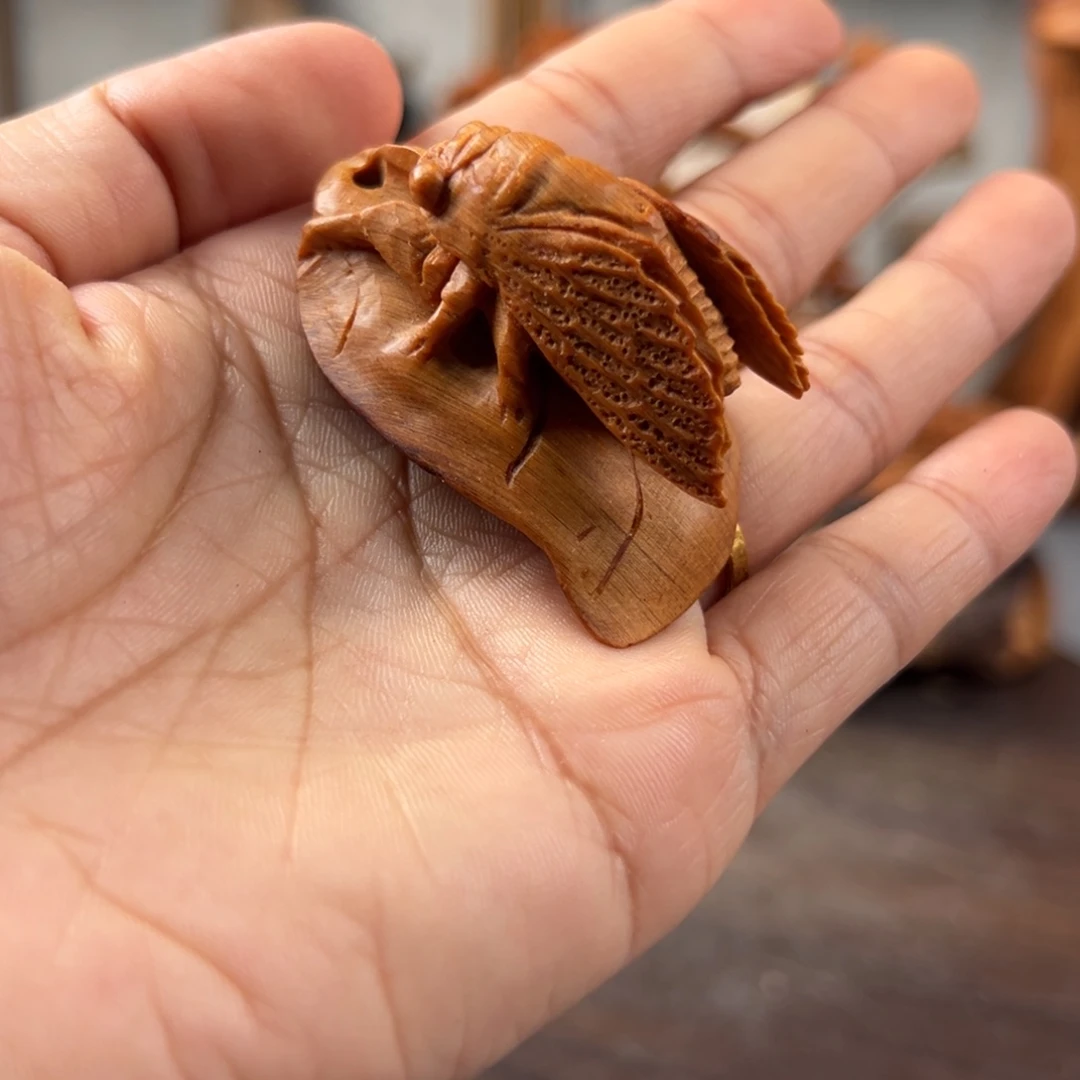 柏木（崖柏）崖柏太行山脉