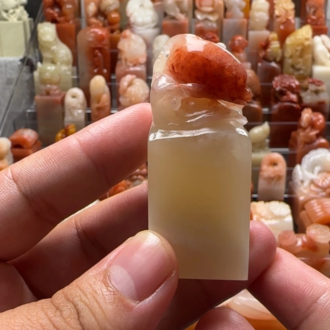 老挝石海豚  2.3×5.8