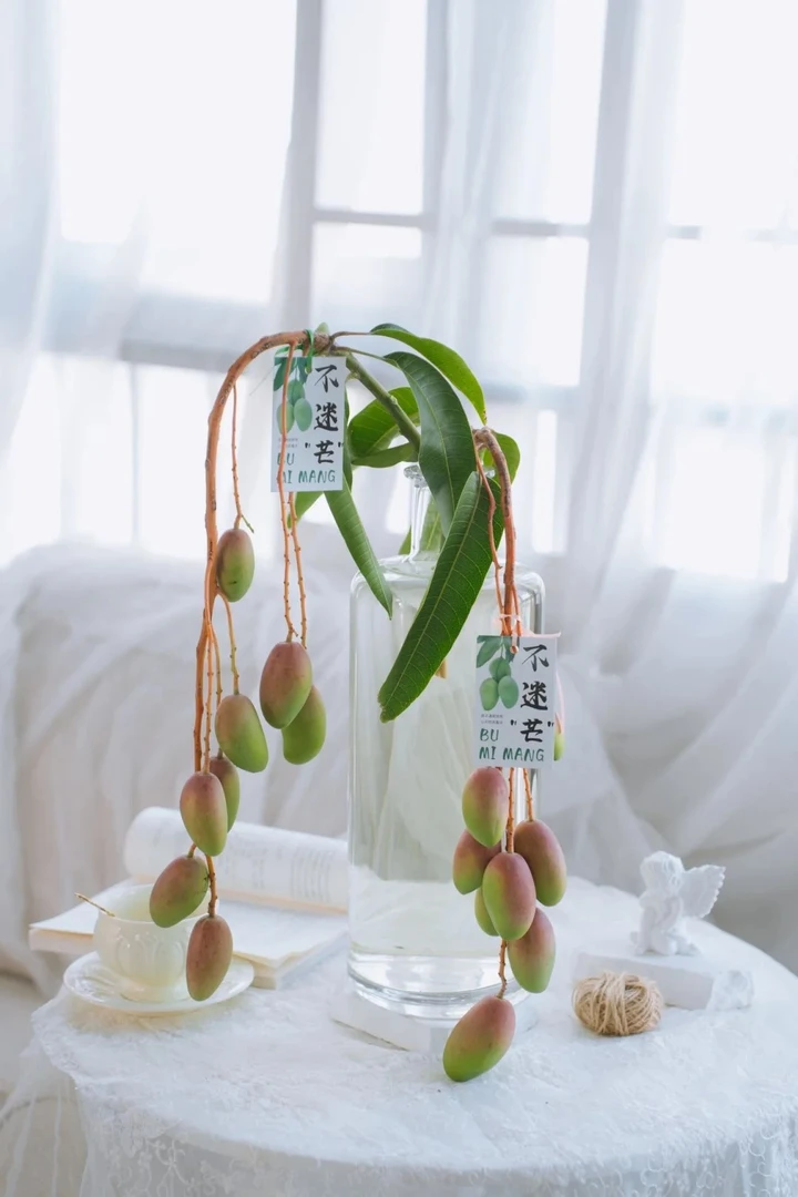 【芒果枝】不迷芒ins风 野趣小众氛围感鲜切花材