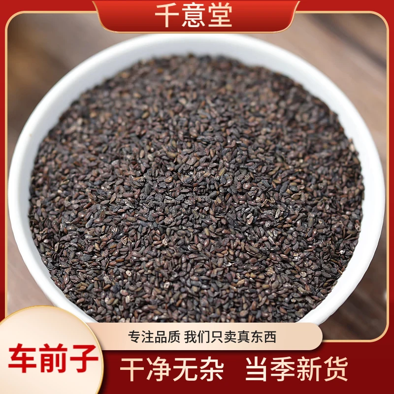 车前子【能豆甄选】 精选车前子 无硫熏 干净无杂  精选品质非枸杞