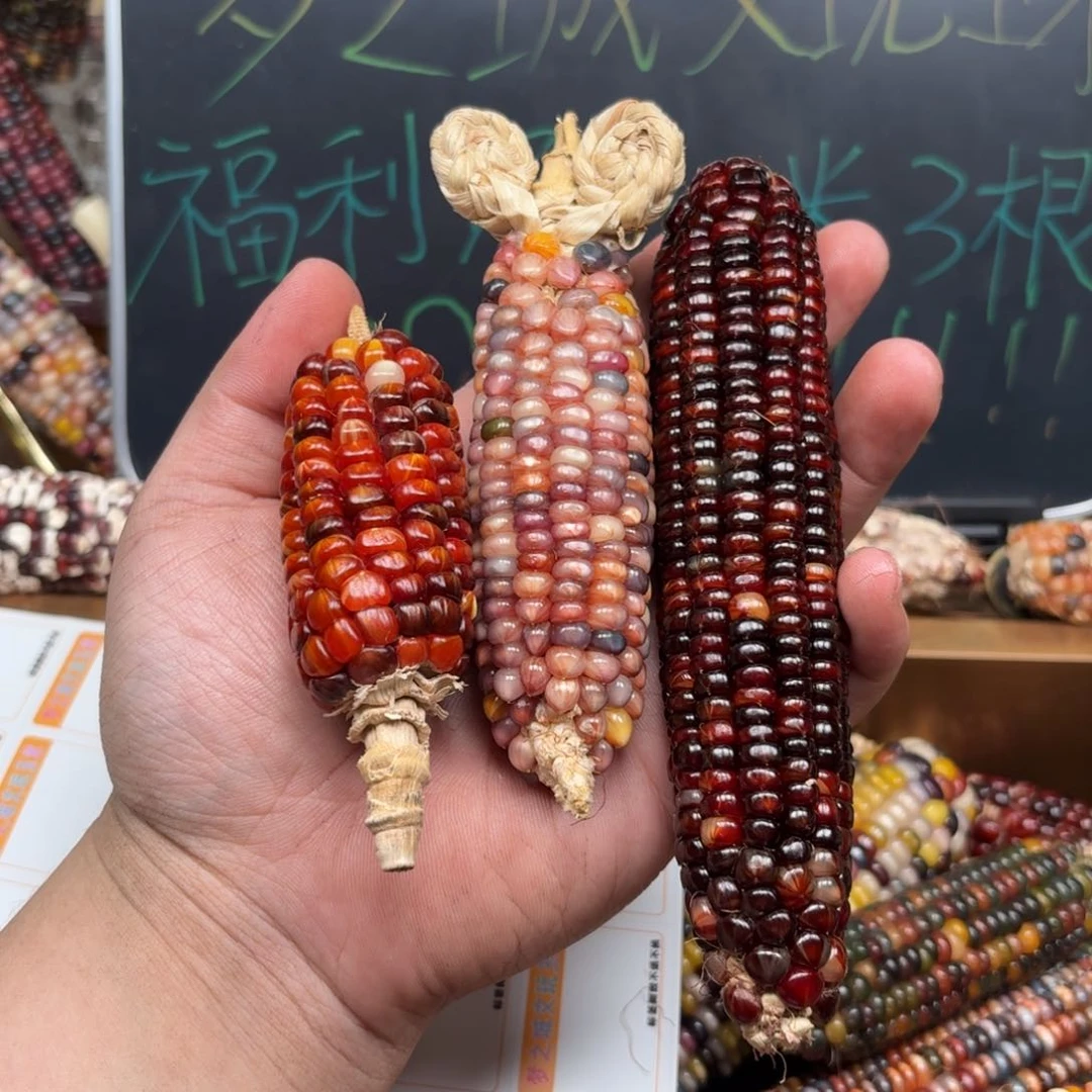 柏香籽/百香籽吊坠性****?