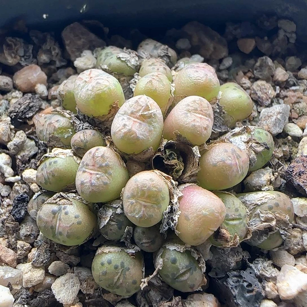 哈哈哈哈哈哈哈哈哈46015