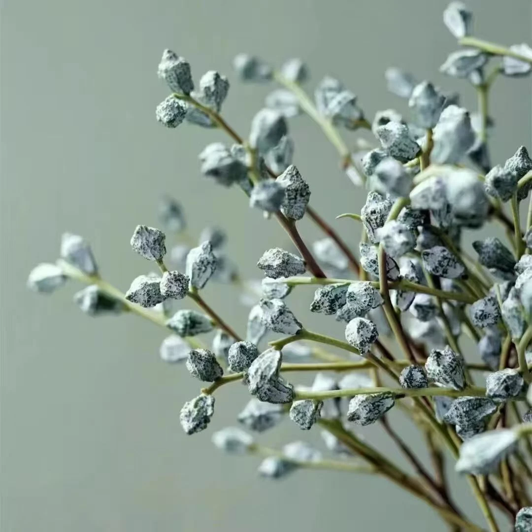 尤加利果嫩果可开花 祛异味夏季驱蚊花材可做干花 氛围感家庭摆件