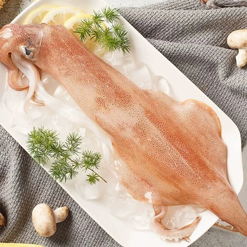 火箭鱿鱼肉厚Q弹新鲜400-600g/条