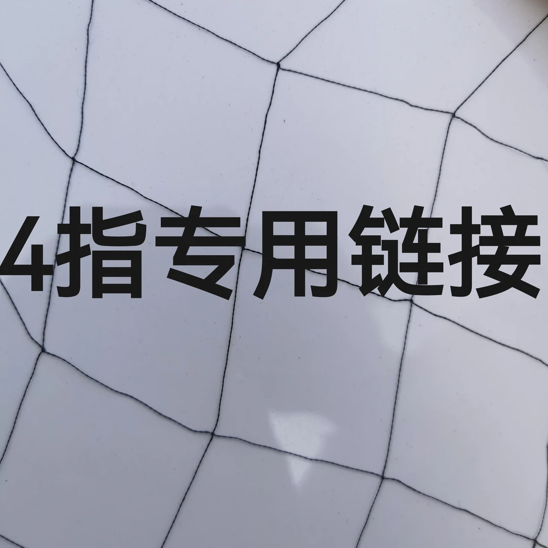 防护网池塘果园山田防鸟网