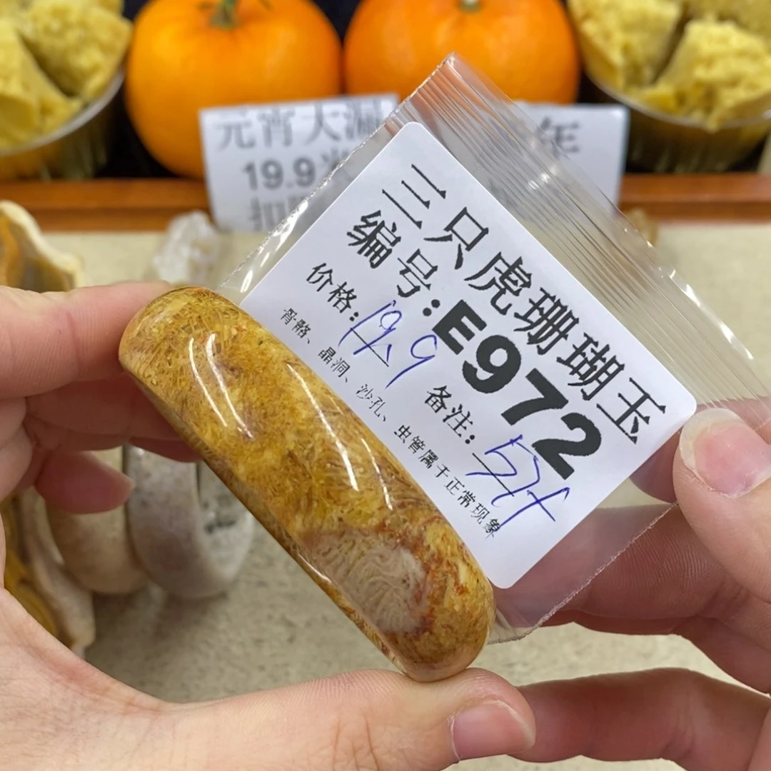 硅化珊瑚（珊瑚玉）1未镶嵌宋*志