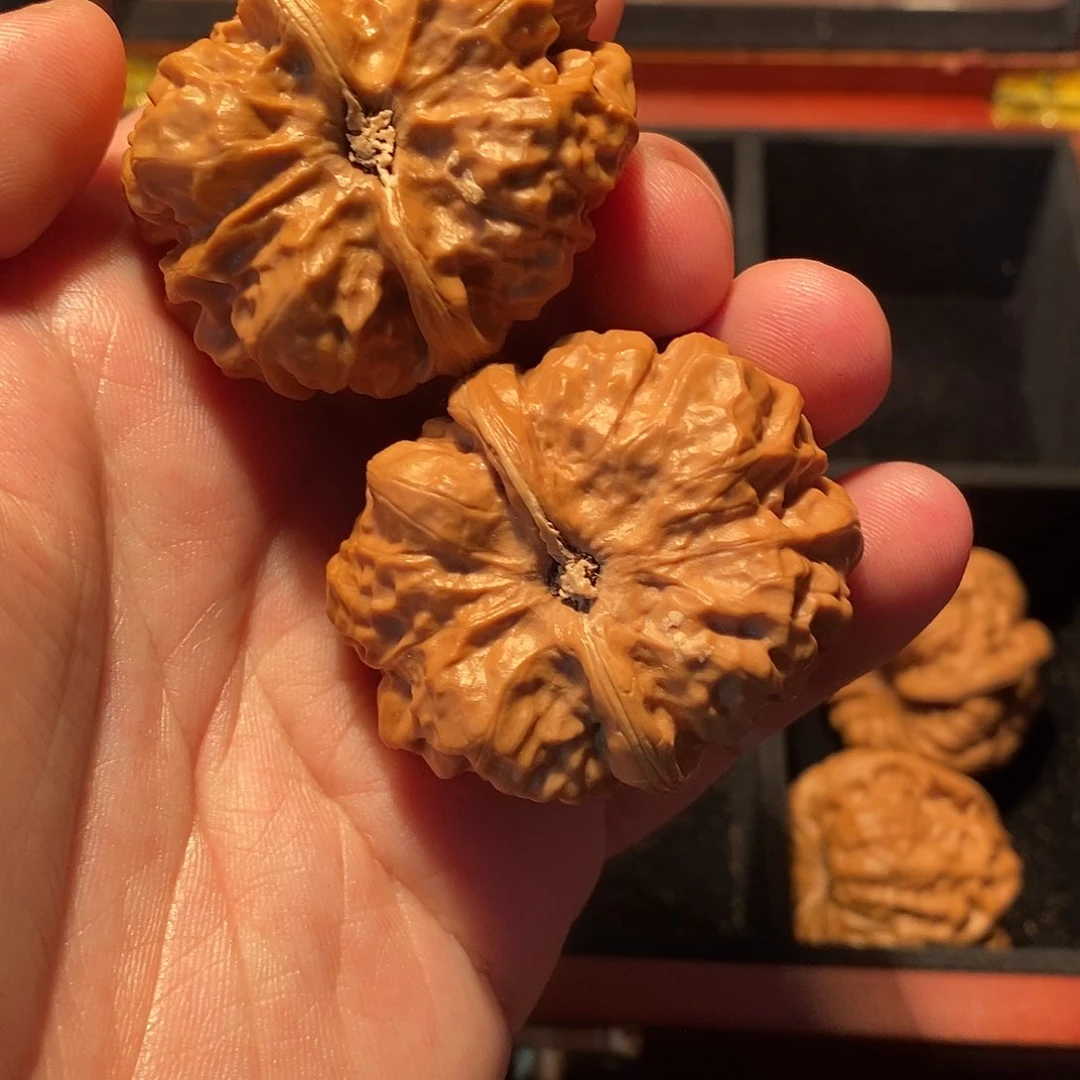 吊坠文玩核桃明**白13665666668889