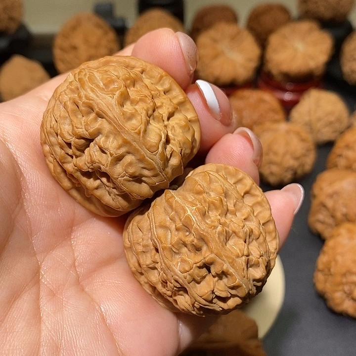 把件文玩核桃37白狮子