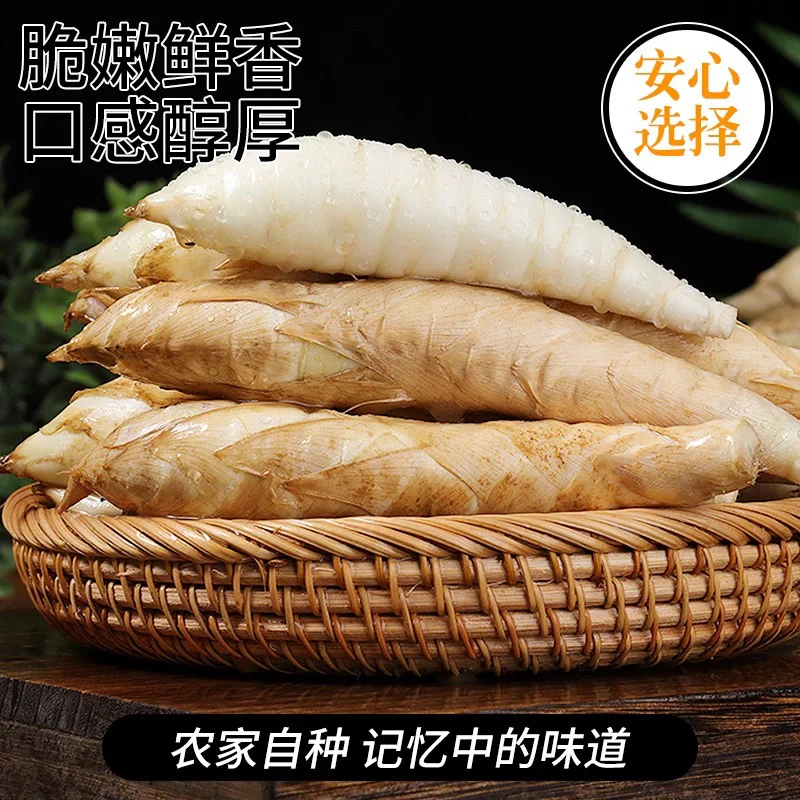新鲜现挖农家竹薯冬薯可煲汤煎煮的优质食材