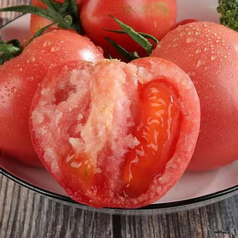 露天老品种沙瓤西红柿番茄新鲜树上自然熟生吃放心番茄同城配